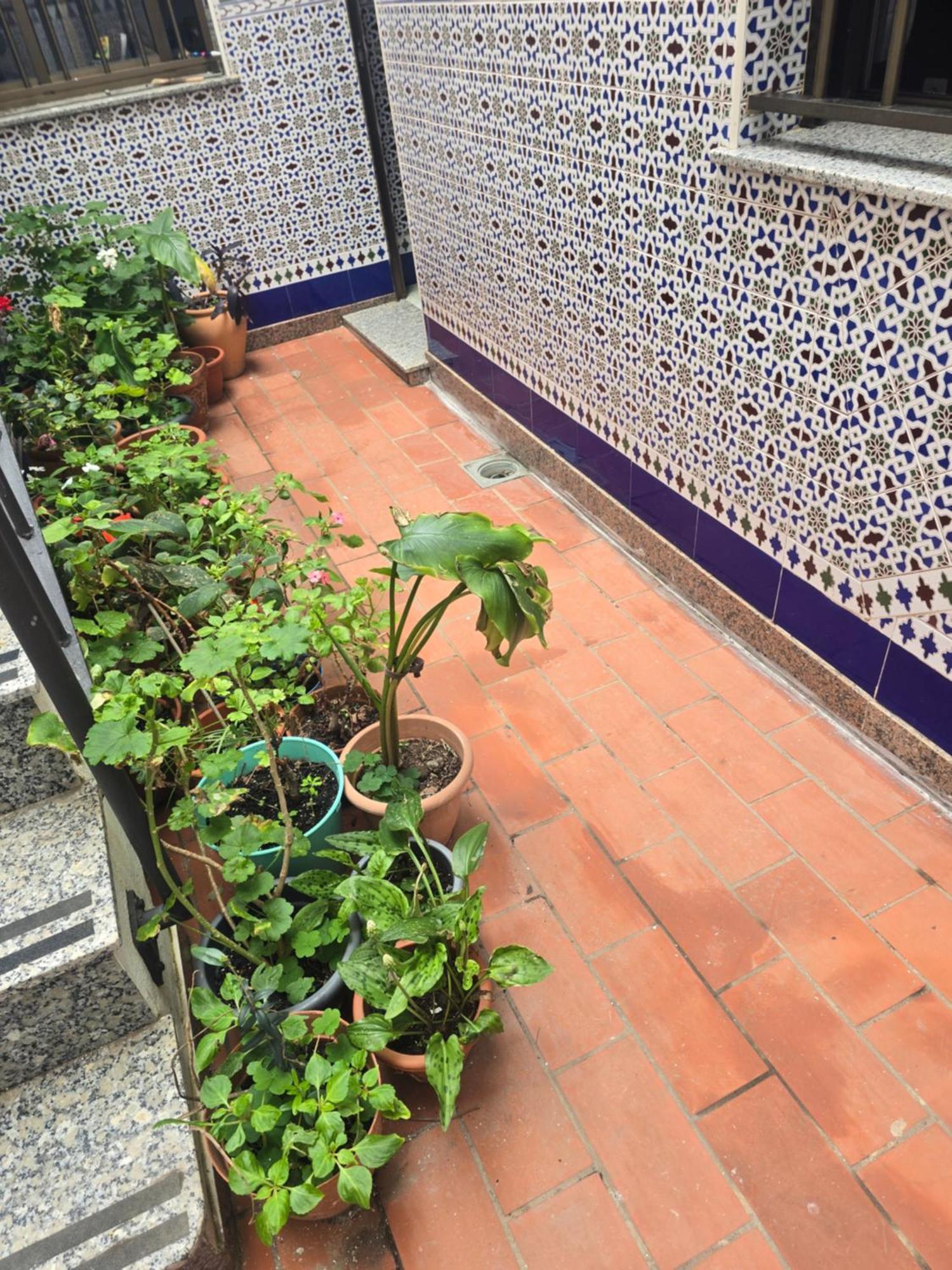 La Tortuga Lodging Rooms Tarifa Exterior photo